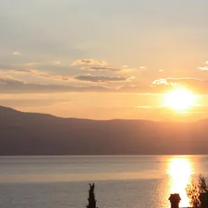 Hajdi Trogir